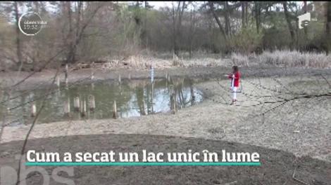 Folosirea în exces a apelor termale în staţiunea Băile 1 Mai a distrus o minune a naturii pentru care turiştii veneau an de an în Bihor