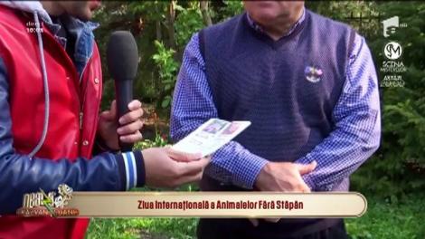 Ziua Internațională a Animalelor Fără Stăpân! Marius Marinescu: "La multi ani!"