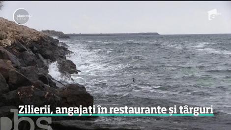 Zilierii ar putea fi o soluţie pentru criza forţei de muncă. Vor putea lucra în toate domeniile