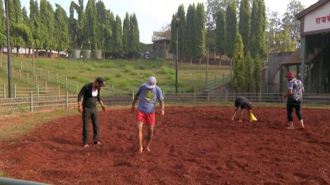 Concurenții caută acul în carul cu fân! Următorul indiciu se află în ringul luptătorilor de kushti