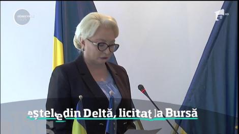 Bursa de peşte de la Tulcea nu mai este doar o poveste pescărească. După zece ani şi de frica unor sancţiuni, a fost inaugurată, în sfârşit