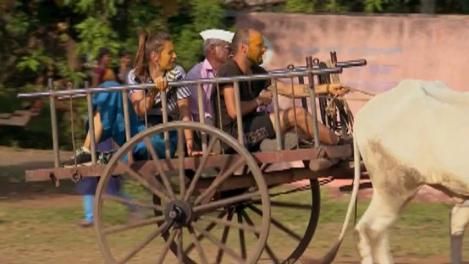 Cocuţa şi Bogdan şi Şerban şi George se vor întrece cu nişte căruţe trase de tauri! "Ne este foarte frică! Trebuie să învăţăm să-i mânăm!"