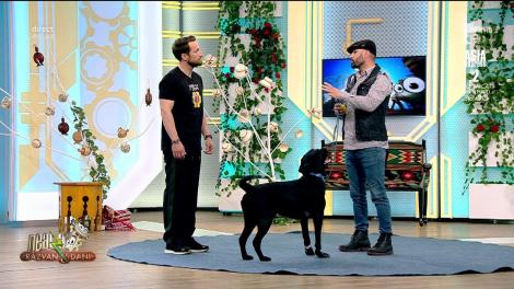 Lecția de dresaj. Cum ajunge un câine să asculte doar de stăpân