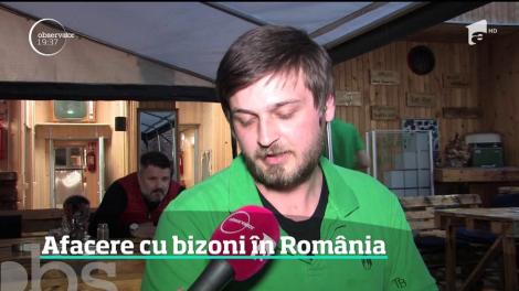 Românii prind gustul unui nou tip de carne! Burgerii şi friptura de bizon îşi fac loc în meniurile restaurantelor