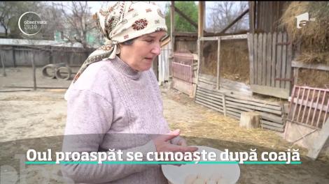 Direct din cuibar, dar fără termen de garanţie. În apropierea Paştelui, românii caută în pieţe ouă de ţară. Sunt mai sănătoase, dar nu se ştie cât de vechi