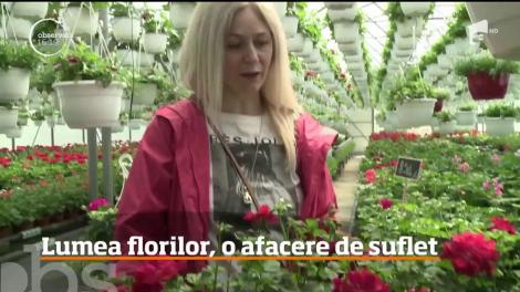 Lumea florilor, o afacere de suflet