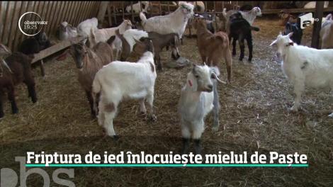 Mielul de Paşti are concurenţă serioasă. Pe mesele românilor va sta în acest an friptura de ied