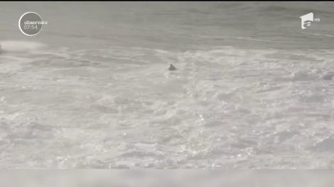 Imagini spectaculoase surprinse pe o plajă din Portugalia, după ce un surfer a fost doborât de un val uriaş