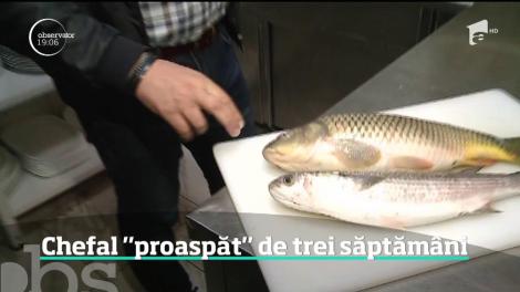 Inspectorii de la Protecţia Consumatorilor au găsit peşte "proaspăt" de trei săptămâni