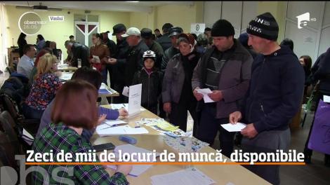 Vasluienii care trăiesc din ajutorul social s-au prezentat la bursa locurilor de muncă doar ca să fie respinşi şi să stea acasă pe banii statului