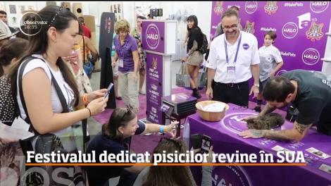 Cel mai mare festival din lume dedicat pisicilor revine în Statele Unite!