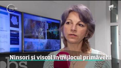 Ninsori şi viscol în mijlocul primăverii! Mai mulţi turişti au fost la un pas să îngheţe pe un traseu din Bucegi