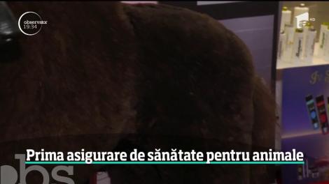 A fost lansată prima asigurare de sănătate pentru animale!