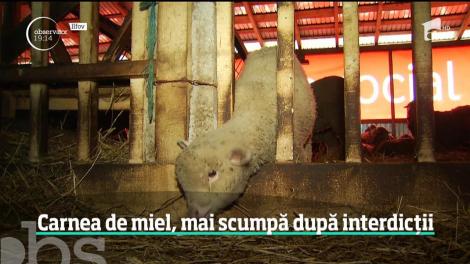 Carnea de miel, mai scumpă după interdicţii