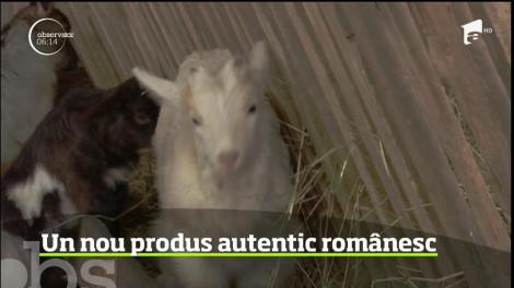 Brânza de capră din Stejaru, un nou produs autentic românesc