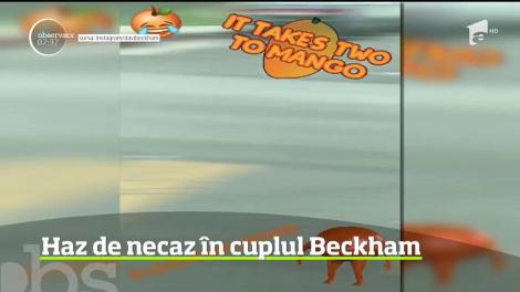Distracţia în cuplu e încă la ea acasă în familia Beckham