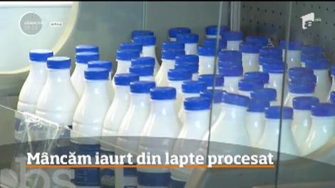 9 din 10 iaurturi vândute în supermarket sunt nesănătoase! Au lapte procesat și cu adaos de proteine