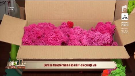Cum ne transformăm casa într-o locuință vie