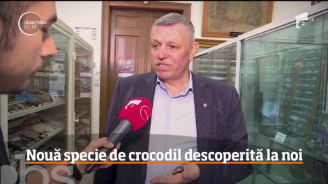 Nouă specie de crocodili descoperită de cercetătorii clujeni