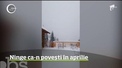 În Bucovina ninge ca-n povești, în luna aprilie
