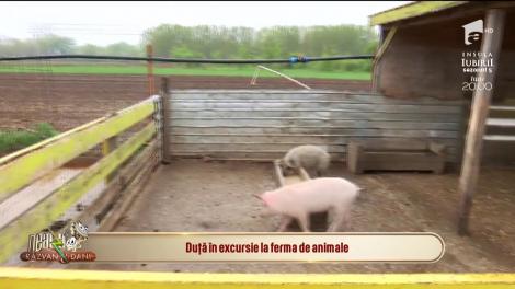 Nu ştii unde să-ţi duci copilul în weekend? Hai la o fermă de animale!