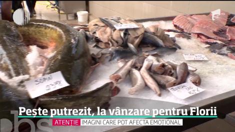 Peşte putrezit scos la vânzare în mai multe magazine din București și Timișoara, înainte de Florii