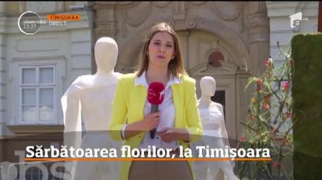 Oraşul Florilor se pregăteşte să înflorească la propriu. Zeci de florişti din ţară şi de peste hotare îşi vor expune "operele de artă" în centrul Timişoarei