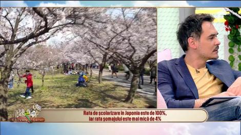 Japonia - destinaţie de vacanţă! Răzvan Pascu ne spune care sunt cele mai intersante obiective de vizitat!