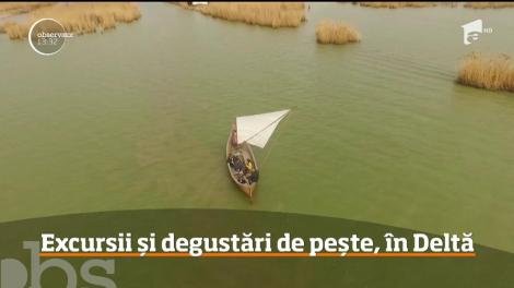 Excursii și degustări de pește, în Delta Dunării