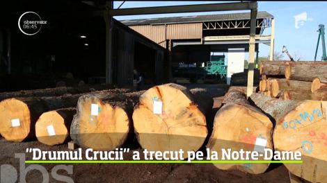 În Vinerea Mare a catolicilor, Drumul Crucii a trecut pe la catedrala Notre-Dame