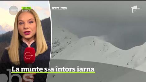 La munte s-a întors iarna. A nins abundent în Bucegi