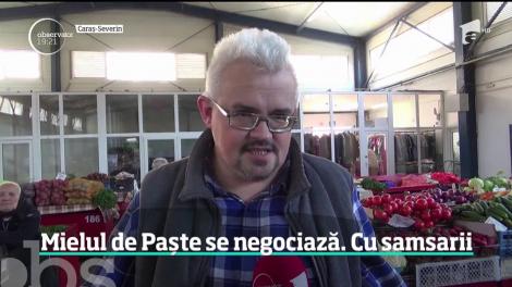 Mielul de Paște se negociază cu samsarii. Ciobanii au fost nevoiţi să-şi dea marfa la abator