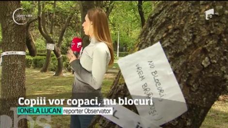 Zeci de copaci cu nume de copii într-un parc din Capitală. Este modul în care cei mici încearcă să oprească distrugerea unui parc în care au intrat deja buldozere