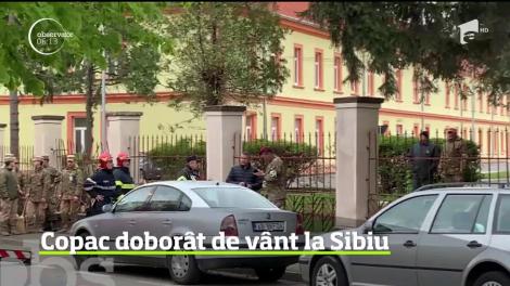Vântul puternic a doborât un copac în Sibiu şi a avariat două maşini, în timp ce pe Transfăgărăşan a nins abundent