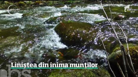 Locul în care tot mai mulţi turişti îşi găsesc liniştea sufletească se află în Retezat