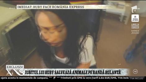 Ruby și iubitul ei salvează animale pe bandă rulantă! „În loc să dea bani pe un animal, oamenii ar trebui să adopte un suflet”