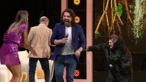 A început măcelul! King Kong a altoit toate vedetele de la Scenă Misterelor