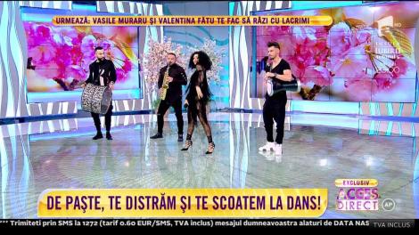 Gipsy Casual - Shake The Bull