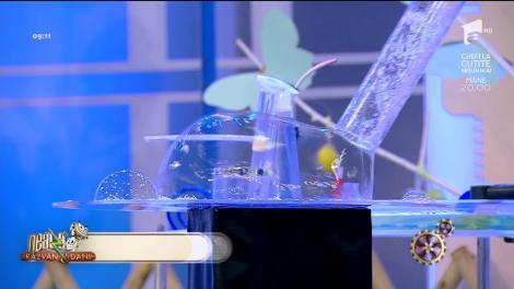 Magic Bubble Show by Claudia Stroe! Spectacol cu baloane de săpun în platoul de la Neatza cu Răzvan şi Dani!