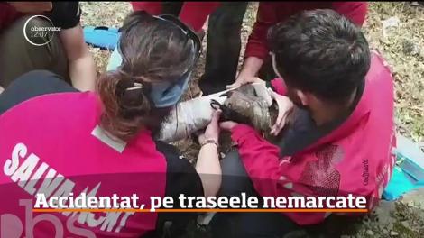 Un bărbat a fost accidentat pe traseele nemarcate după ce a ales să urce pe o potecă nesigură, plină cu noroi din Buşteni