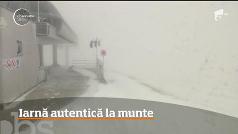 La cota 2000 a venit Crăciunul. Ninge şi viscoleşte puternic de ore în şir! Drumarii au scos din nou utilajele de deszăpezire pe şosea