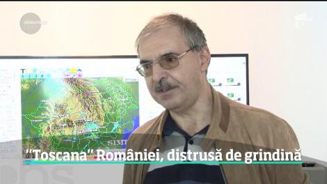 Grindina de mărimea unei căpşuni a pus la pământ renumitele podgorii din Prahova