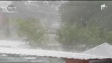 Natura s-a dezlănţuit în judeţul Prahova. La Urlaţi, în doar câteva zeci de minute, grindina, de mărimea boabelor de mazăre, a acoperit totul în jur