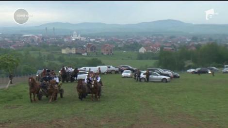 Adunatul oilor, la Negreşti