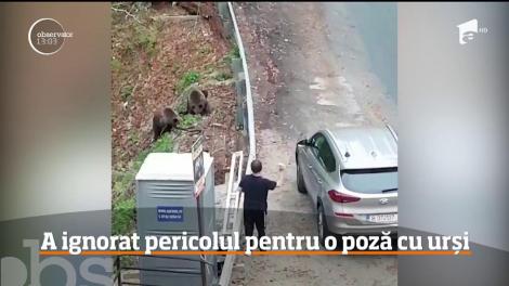 Întâlnire mai puțin obișnuită la barajul Vidraru! Doi pui de urs au coborât din pădure în căutarea hranei