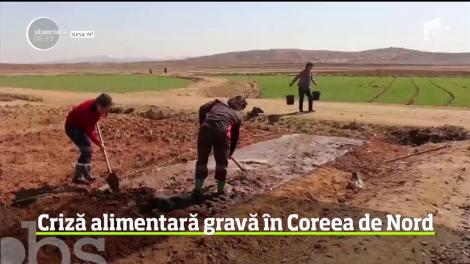 Criză alimentară gravă în Coreea de Nord