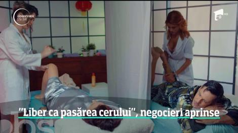 Negocieri aprinse între Orlando și Ducu la Liber ca pasărea cerului