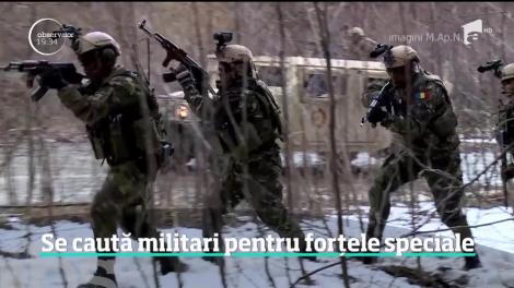 Ţară, ţară, vrem ostaşi! Armata Română caută militari pentru trupele speciale