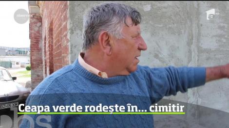 Criza terenurilor din oraşe este atât de mare încât improvizaţiile grădinarilor de ocazie sunt tot mai surprinzătoare