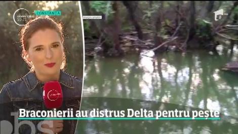 Braconierii au distrus Delta Dunării pentru pește
